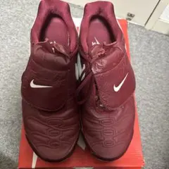 Nike Air Max Plus Tiempo Red 28cmティエンポ