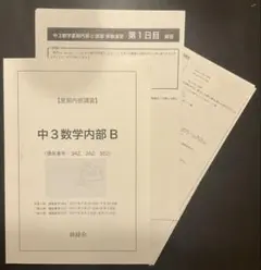 鉄緑会 中3数学夏季B講習 テキスト一式のサムネイル