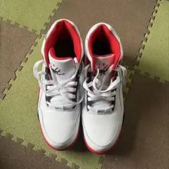 Nike スニーカー ホワイト/レッド