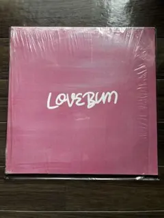 BASI LOVEBUM LP アナログレコード