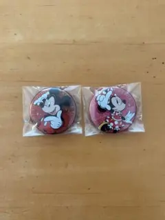 ディズニー 缶バッジ ミッキー ミニー