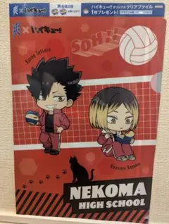 爽×ハイキュー 　クリアファイル　音駒　ロッテ　A4サイズ