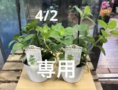 富岡義勇⚠️プロフ必読⚠️様 リクエスト 2点 まとめ商品