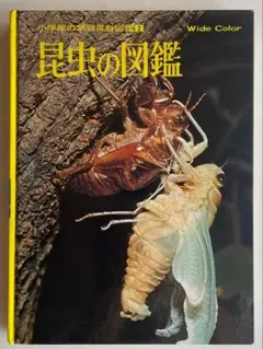 Item thumbnail for item 21325d50-3aea-4eee-b741-586c879dc380