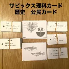 2026年最新】中学/社会暗記カード・歴史の人気アイテム - メルカリ