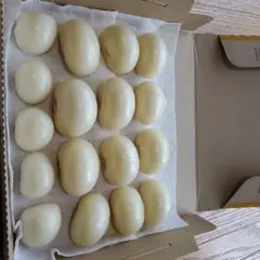 ジャンボニンニク　800g　農薬不使用のサムネイル