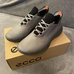 ECCO GOLF BIOM H5 ほぼ新品　メンズ ゴルフシューズ 43のサムネイル