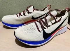 ナイキズームフライ