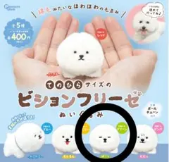 ビションフリーゼ カプセルトイ