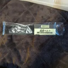 Item thumbnail for item c451f41f-54fa-40b9-85d1-182f8703ea4f