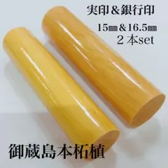 Item thumbnail for item a9d0e60a-bb93-4547-a5c5-c38d22eb7c7d