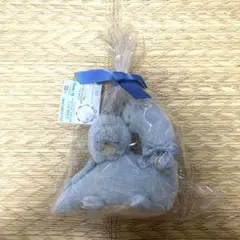 すみっコぐらし メゾンドフルールコラボ ぬいぐるみ とかげ＆とかげの