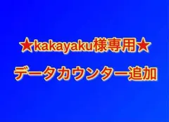 ★kakayaku様専用★ データカウンター追加分