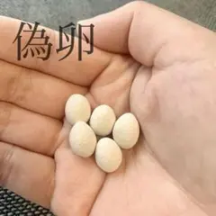 Item thumbnail for item 4bdb8148-addc-4d76-b3c9-4c18008a4632