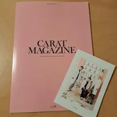 CARAT MAGAZINE vol.14 SEVENTEEN