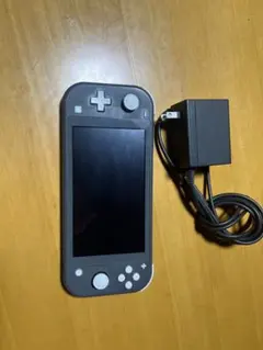 Nintendo Switch Lite グレー 本体 ACアダプター付き