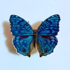 そう様 リクエスト 3点 まとめ商品