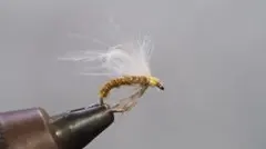 Item thumbnail for item ebb25407-77a8-4944-a64a-594a2dbcbce4