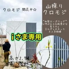 i様 リクエスト 2点 まとめ商品