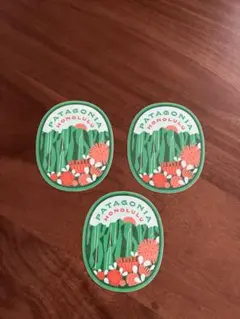 PATAGONIA ステッカー 3枚セット(花)