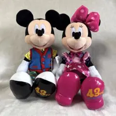 ディズニーランド 43周年 ミッキー＆ミニー ぬいぐるみ - メルカリ
