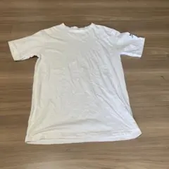 Item thumbnail for item 762221d8-ffb7-4b95-b0f1-b6f10cb25a80