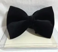 Item thumbnail for item ed48e000-49d7-4e48-9c9a-2d2841d68367