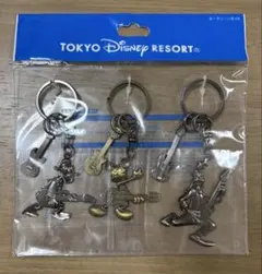 東京ディズニーリゾート　キーチェーンセット