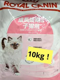 ringo様 リクエスト 3点 まとめ商品