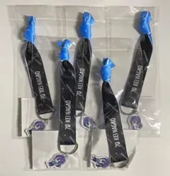 Item thumbnail for item fbb6b2ff-857c-4712-bdfd-e4bbec6294d7