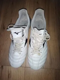 モナルシーダネオ2pro 24.5cm