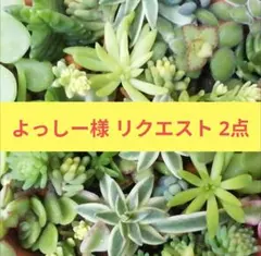 よっしー様 リクエスト 2点 まとめ商品