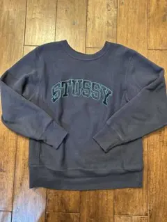2026年最新】stussy チャンピオンの人気アイテム - メルカリ