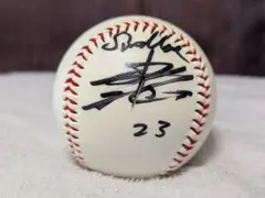 山田哲人 直筆サインボール 東京ヤクルトスワローズ swallows ルーキー