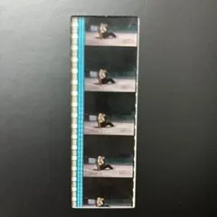 ヱヴァンゲリヲン新劇場版:破　DVD特典コマフィルム　碇シンジ　屋上