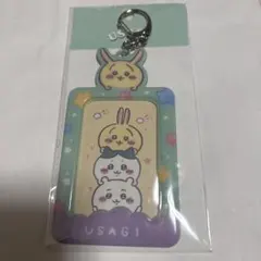 ちいかわ 韓国限定 カードホルダー うさぎ　トレカケース　トレカホルダー