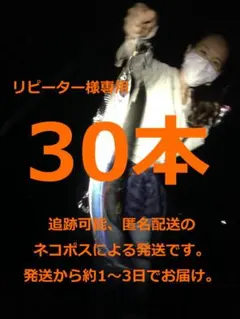 「リピーター様専用」 タチウオ 大サバ ロングワイヤー仕掛け　30本　ガイドなし