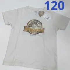 新品✩︎⡱ユニクロUT　ジュラシックワールド　半袖Tシャツ　120