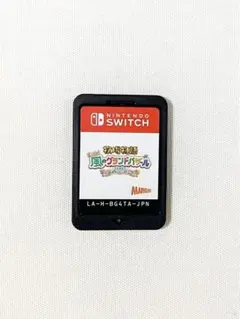 牧場物語 Let's!風のグランドバザール ソフトのみ Switch