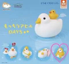 ふわふわフロッキーのもっちりアヒルDAYS 雨の日のアヒル