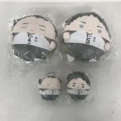 ハイキュー‼︎ くじメイト C賞 D賞 ふわコロりん 木兎光太郎 赤葦京治