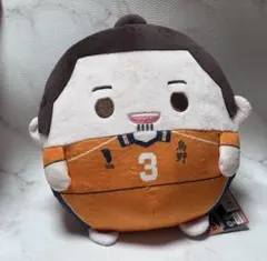 ハイキュー‼︎くじメイト ぬいくじ A賞 ふわコロりん メガ 日向翔陽