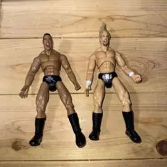 WWE TNA ハルク ホーガン ケビン ナッシュ プロレス フィギュア - メルカリ
