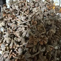 ｊｏｌｉｅ ❤︎ ｆｌｅｕｒ様 リクエスト 4点 まとめ商品