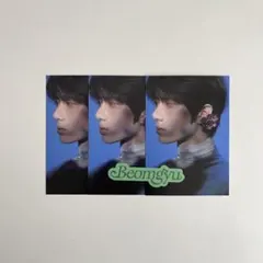 txt  ボムギュ  フォトカード