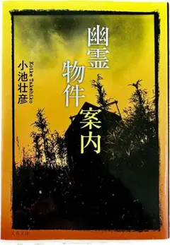 Item thumbnail for item e210a13b-fe9a-49aa-bd8a-8236a78fcad9