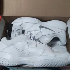 Item thumbnail for item 1fbf6a60-436b-4f92-a03e-f69de8be1472