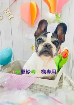 ✨☘️更紗☘️✨フリットについて。。☘️様 リクエスト 4点 まとめ商品