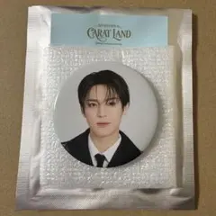 SEVENTEEN CARAT LAND 2026 THE8 缶バッジ - メルカリ