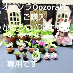 オオゾラOozora様　植木　13個セット